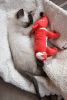 DSC_5042.thumb.JPG.a68c9fca378b0bb9a3a392d99c2d7387.JPG
