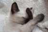 DSC_5044.thumb.JPG.361ba8e9e38f27e4610ece7fbda5f671.JPG