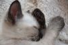 DSC_5046.thumb.JPG.cb79db4eceec4dbdd5b65b9f3a352372.JPG