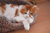 DSC_5052.thumb.JPG.0b9acdf5f036d9f3efecb50cfdb48e4d.JPG