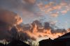 DSC_5069.thumb.JPG.69bf71811795a4a55de9a429450f1c30.JPG