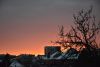 DSC_5109.thumb.JPG.a26dba2da53185ae592684d294e3eca7.JPG