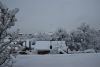 DSC_5132.thumb.JPG.7ee060e189c8f3b43b9de8a37dac9f56.JPG