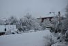 DSC_5133.thumb.JPG.635c0c85260154cf7b00a7c6a8e09652.JPG
