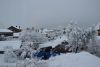 DSC_5135.thumb.JPG.a18a0ee87ddaba9e1c04b5eae310e619.JPG
