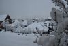 DSC_5138.thumb.JPG.46d460eb8428c2844def1322f3488b9e.JPG
