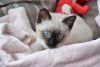DSC_5141.thumb.JPG.ad92cbb0a188cf12b1a35fb157a7a079.JPG