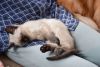 DSC_5151.thumb.JPG.a2da5d1169d30f2fce7f97e3222f58c3.JPG