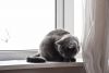 DSC_5155.thumb.JPG.277309b2bf2e3e7a5db13d3f715c94e3.JPG