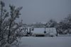 DSC_5157.thumb.JPG.c304dab22c1481e7a69aface0b1c7bd4.JPG