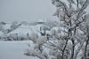 DSC_5169.thumb.JPG.2fe2ce318d5ca1998b3a79ae34e88384.JPG