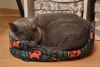 DSC_5172.thumb.JPG.3773a0ca147c1d69dbf1b12cf54d8385.JPG