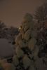 DSC_5177.thumb.JPG.96ba6bb3aa374e537b6cb673dc70108c.JPG