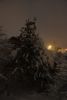 DSC_5178.thumb.JPG.be2ae5e199a0ed183c1d0bd350dd7d76.JPG