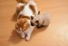 DSC_5180.thumb.JPG.9a8e5b282d990291a7bce875dde5923d.JPG