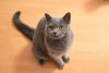 DSC_5184.thumb.JPG.4d418199ca60ac769698f4490a670db1.JPG