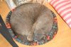 DSC_5187.thumb.JPG.a9f1a3b7af2baef6f8e25f79ae4905cd.JPG