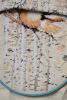 DSC_5188.thumb.JPG.4106035e891c3cbcca84473b3ed3ed18.JPG
