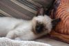 DSC_5195.thumb.JPG.614e9bd5fb7434308b7824e89dae5afc.JPG
