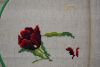 DSC_8093.thumb.JPG.94b5fa4c2e3da027a684829ccec088b9.JPG