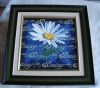 Daisy..thumb.JPG.ab8bcbe75662f79356d1dd17fd295637.JPG