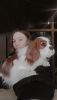 IMG-20220103-WA0008.thumb.jpg.ee7a147ac240225e081f00bf9542748c.jpg