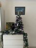IMG-20220113-WA0000.thumb.jpg.1902b40c06fff892d065ea1f80b3bfbb.jpg
