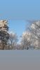 IMG-20220113-WA0001.thumb.jpg.553f83d1ec64da27ffec9190838aa07c.jpg