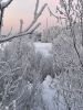 IMG-20220113-WA0003.thumb.jpg.cc7c0c7b14d5c1ffc39aa2c65e3161c4.jpg