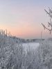 IMG-20220113-WA0004.thumb.jpg.c582be0a4de916fb975673c36c9ed89f.jpg