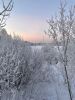IMG-20220113-WA0005.thumb.jpg.4fa589842010e29aeff0562a235fa7b5.jpg