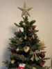 IMG-20220113-WA0006.thumb.jpg.a83bf14d278fa7fea2f1a64a32358d51.jpg