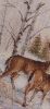 IMG-20220115-WA0004.thumb.jpg.3ceb4b11770508ae3ceff8fa1ae01870.jpg