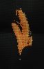 IMG_20210701_155140.thumb.jpg.b01d2875179d65d0cc04d22faf9fd51d.jpg