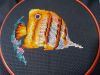 IMG_20211003_205623.thumb.jpg.a6ba105c187b270d74d462e005176807.jpg