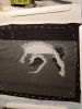 IMG_20211112_232441.thumb.jpg.04c7225929d7db13cd74b2916ae2b03d.jpg