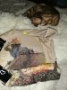 IMG_20211205_215232.jpg