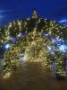 IMG_20211217_162932.thumb.jpg.fb46a630bf705687e70559a986334c01.jpg