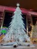IMG_20211218_072759.thumb.jpg.6c001df7aa4f85ea124a23360bf414b4.jpg