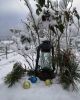 IMG_20211222_093042_714.thumb.jpg.530455454be314234b3c184f0bf54ea2.jpg