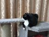 IMG_20211230_235122.thumb.jpg.f2e93f8dd08c3bc7c1f06bcdb6f39bfc.jpg