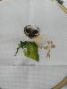 IMG_20220101_092804.thumb.jpg.146c681cd0459e3f755c1e690d8a72a6.jpg?1642168607240