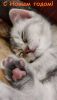 IMG_20220101_184130.thumb.jpg.2c035a294b1e23f7799871d46c9d05f2.jpg