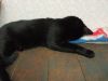 IMG_20220102_001902.thumb.jpg.aef2290f8e224c3853a2a78c73529b97.jpg