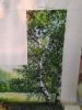 IMG_20220104_101140.thumb.jpg.8aa4bd023c25238b7d302ed4292b3e45.jpg