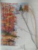 IMG_20220105_140037.thumb.jpg.44b856e2eeb40f339bccda0d7b279807.jpg?1641840836479