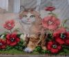 IMG_20220107_085730.thumb.jpg.351e1f579fa7652f0309ba903bde76d1.jpg