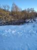 IMG_20220107_143948.thumb.jpg.9a84632ff7643827aeaf1118a3dedbab.jpg