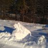 IMG_20220107_144333.thumb.jpg.e3d31e46d1946862380b2a6d7da98e54.jpg