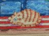 IMG_20220107_144702.thumb.jpg.a14e5ebca9be732c3b68f6546fb0b717.jpg